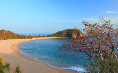 Cinema Magic in Huatulco: A Film Lover’s Paradise